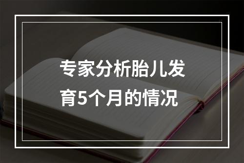 专家分析胎儿发育5个月的情况
