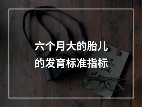 六个月大的胎儿的发育标准指标