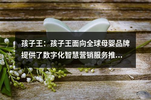 孩子王：孩子王面向全球母婴品牌提供了数字化智慧营销服务推广平台-孩慧营