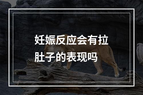 妊娠反应会有拉肚子的表现吗