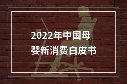 2022年中国母婴新消费白皮书