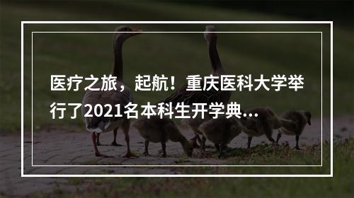 医疗之旅，起航！重庆医科大学举行了2021名本科生开学典礼和军训闭幕式