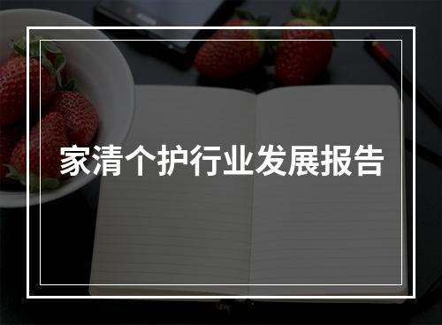 家清个护行业发展报告
