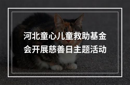 河北童心儿童救助基金会开展慈善日主题活动