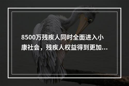 8500万残疾人同时全面进入小康社会，残疾人权益得到更加有效的保障