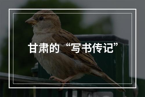 甘肃的“写书传记”