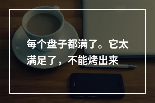 每个盘子都满了。它太满足了，不能烤出来
