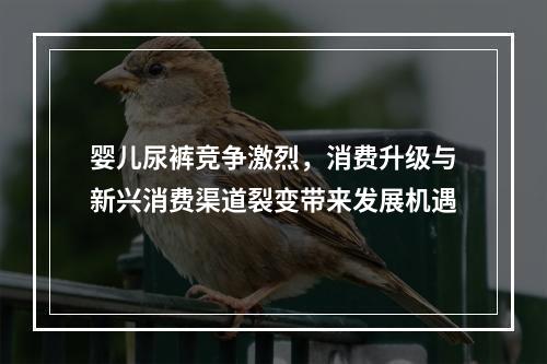 婴儿尿裤竞争激烈，消费升级与新兴消费渠道裂变带来发展机遇