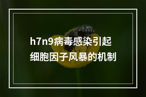 h7n9病毒感染引起细胞因子风暴的机制
