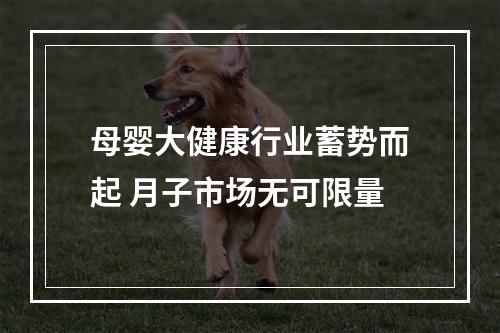 母婴大健康行业蓄势而起 月子市场无可限量