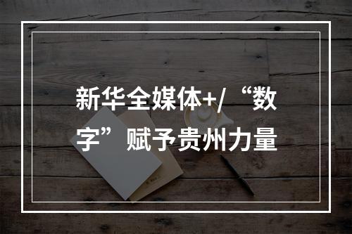 新华全媒体+/“数字”赋予贵州力量