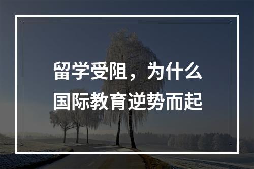 留学受阻，为什么国际教育逆势而起