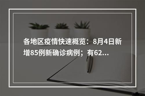 各地区疫情快速概览：8月4日新增85例新确诊病例；有62例当地病例