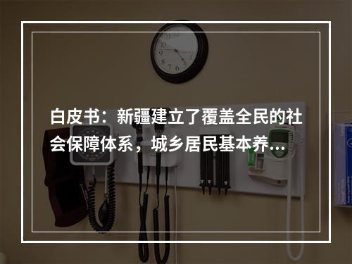白皮书：新疆建立了覆盖全民的社会保障体系，城乡居民基本养老保险参保率超过95%