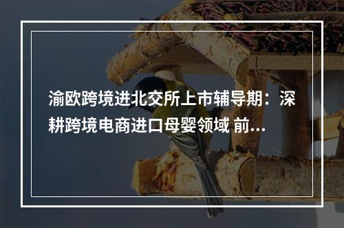 渝欧跨境进北交所上市辅导期：深耕跨境电商进口母婴领域 前三季度净利9589万元