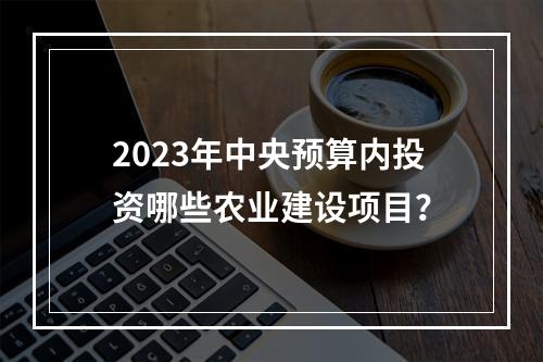 2023年中央预算内投资哪些农业建设项目？