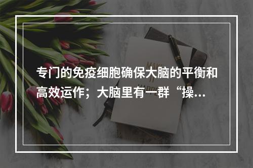 专门的免疫细胞确保大脑的平衡和高效运作；大脑里有一群“操作员”
