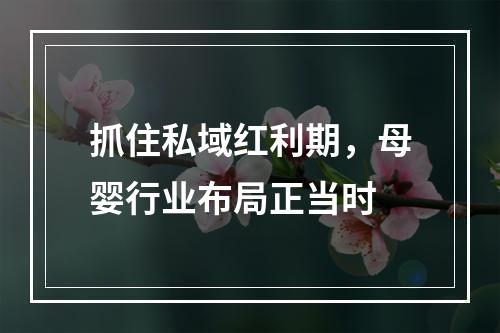 抓住私域红利期，母婴行业布局正当时