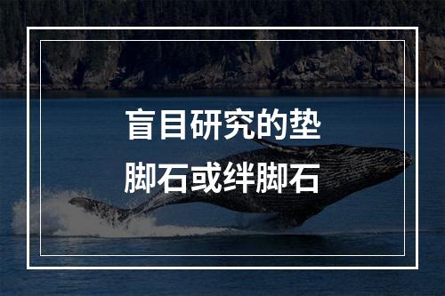 盲目研究的垫脚石或绊脚石