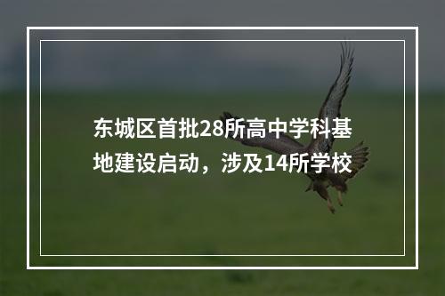 东城区首批28所高中学科基地建设启动，涉及14所学校