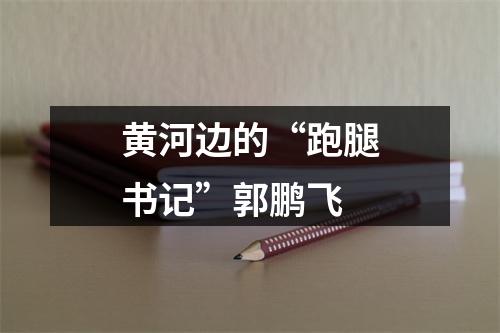 黄河边的“跑腿书记”郭鹏飞
