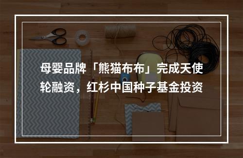 母婴品牌「熊猫布布」完成天使轮融资，红杉中国种子基金投资