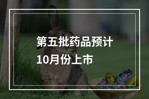 第五批药品预计10月份上市