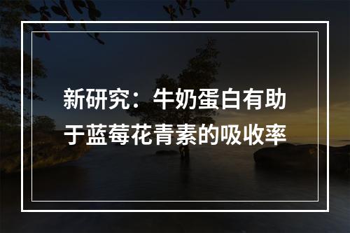 新研究：牛奶蛋白有助于蓝莓花青素的吸收率