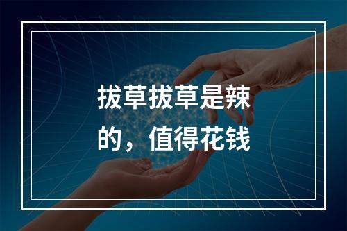 拔草拔草是辣的，值得花钱