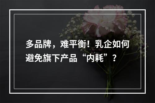 多品牌，难平衡！乳企如何避免旗下产品“内耗”？
