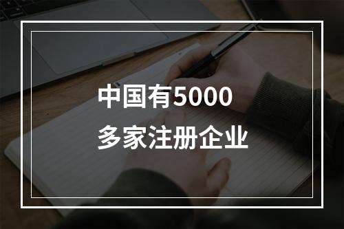 中国有5000多家注册企业