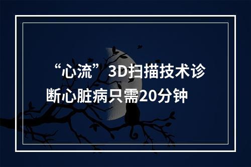 “心流”3D扫描技术诊断心脏病只需20分钟