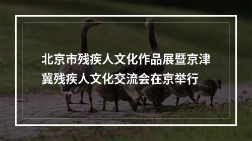 北京市残疾人文化作品展暨京津冀残疾人文化交流会在京举行