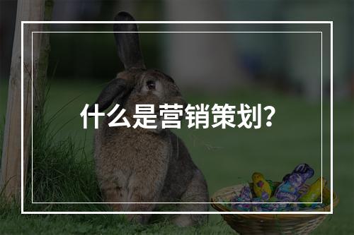 什么是营销策划？