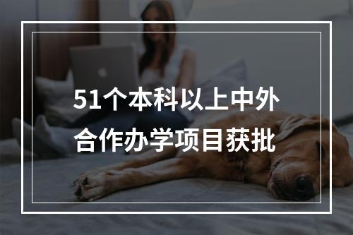 51个本科以上中外合作办学项目获批