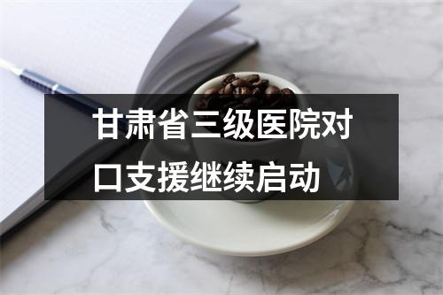 甘肃省三级医院对口支援继续启动