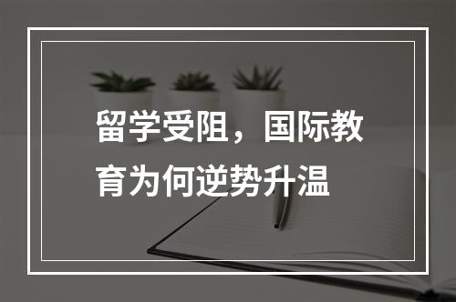 留学受阻，国际教育为何逆势升温