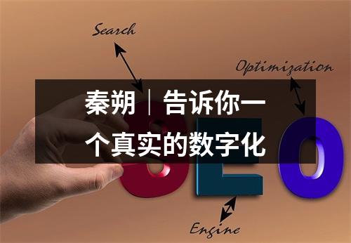 秦朔｜告诉你一个真实的数字化