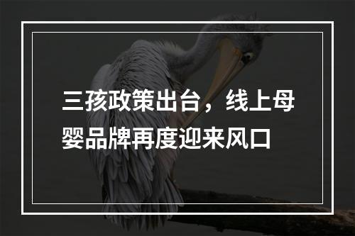 三孩政策出台，线上母婴品牌再度迎来风口