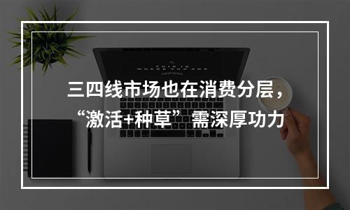 三四线市场也在消费分层，“激活+种草”需深厚功力