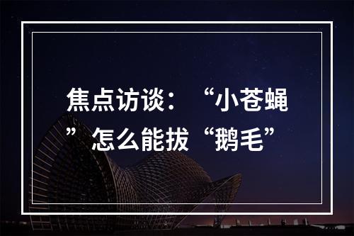 焦点访谈：“小苍蝇”怎么能拔“鹅毛”