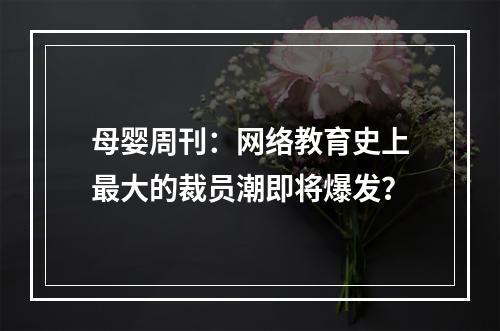 母婴周刊：网络教育史上最大的裁员潮即将爆发？