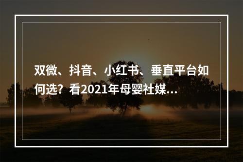 双微、抖音、小红书、垂直平台如何选？看2021年母婴社媒投放新趋势