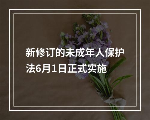 新修订的未成年人保护法6月1日正式实施