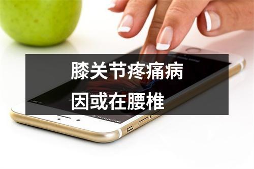 膝关节疼痛病因或在腰椎