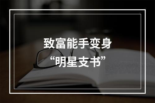 致富能手变身“明星支书”