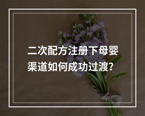 二次配方注册下母婴渠道如何成功过渡？