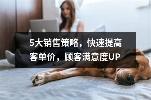 5大销售策略，快速提高客单价，顾客满意度UP