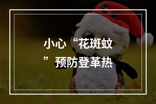 小心“花斑蚊”预防登革热