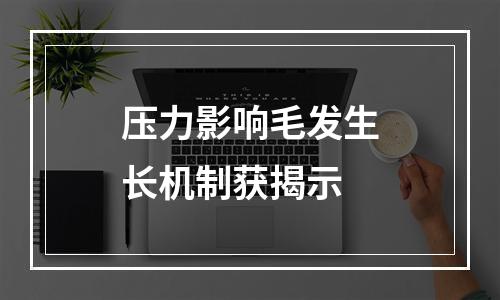 压力影响毛发生长机制获揭示